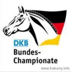 dkb