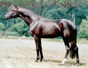 buddenbrock-po-sixtus_foto-werner-ernst