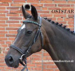 oststar-po-mangan-xx