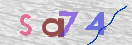 Obraz CAPTCHY